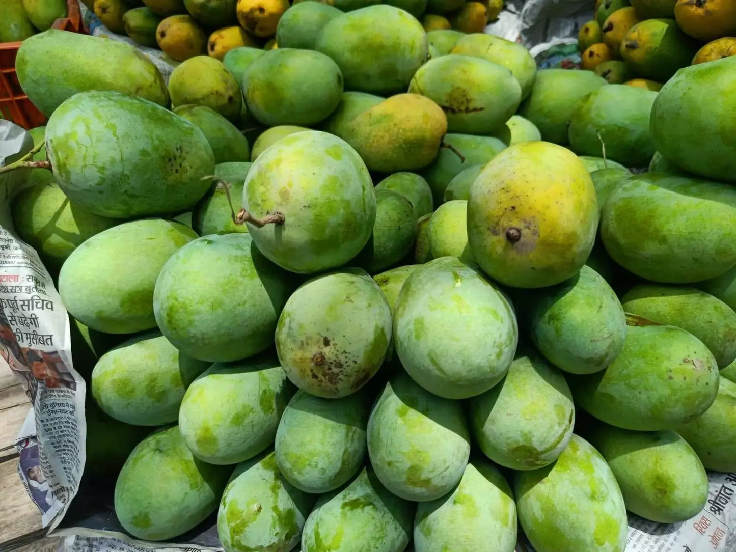 Langra Mangoes – 2KG Box